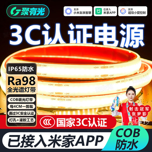 蓝牙Mesh2.0全光谱COB防水灯带