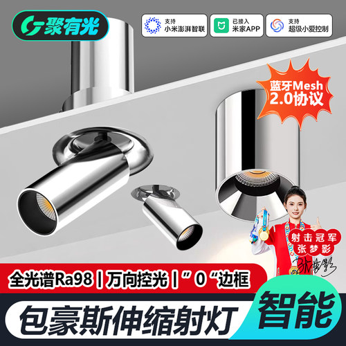 智能调光中古风包豪斯拉伸射灯