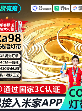 3C认证已接入米家APP全光谱COB灯带智能无极调光24v柔性线性灯带