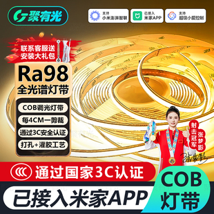 3C认证已接入米家APP全光谱COB灯带智能无极调光24v柔性线性灯带