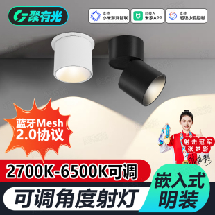 已接入米家APP智能嵌入式明装射灯Mesh2.0无极调光涂鸦背景小山丘