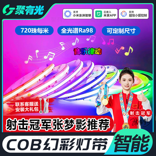 COB智能跑马音乐律动RGB幻彩灯带