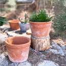 红陶花盆多肉绿植粗陶盆简约创意透气吸水泥瓦盆印章陶盆