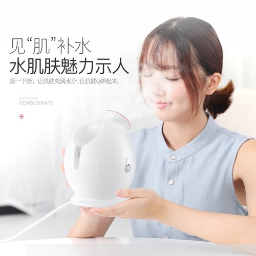 【】金稻蒸脸器Q版喷雾机热喷补水110V美规英规欧规KD233美容