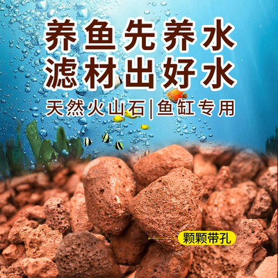 火山石龟缸养鱼滤材专用