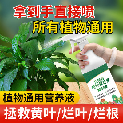 室内盆栽植物营养液免稀释通用型叶面肥喷施花卉绿植花草养花肥