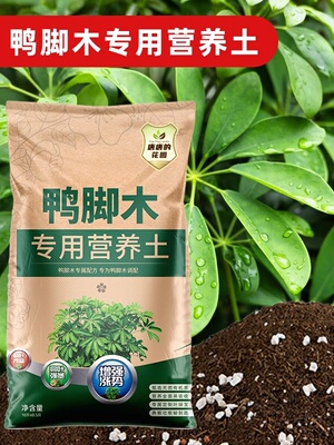 鸭脚木专用土营养土盆栽专用通透气肥沃通用养花土绿植种植有机肥