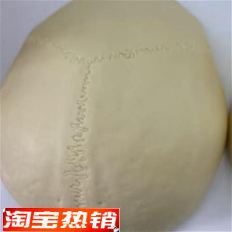 颐诺 ENOVO 仿真头盖骨模型 树脂材质  人体等比大小