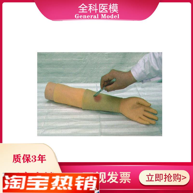 上肢脓肿切开仿真模型