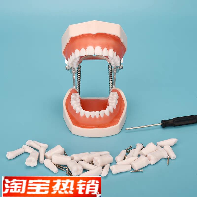 牙科材料树脂牙口腔模型种植离体粒备牙模型根管排龈开髓模型包邮