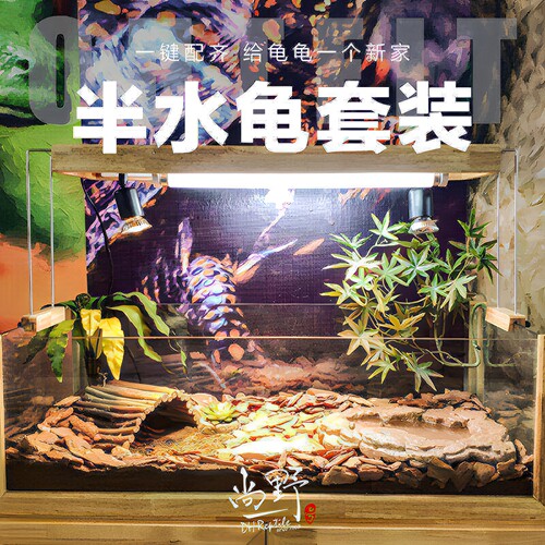 DH半水龟环境套餐新手套装