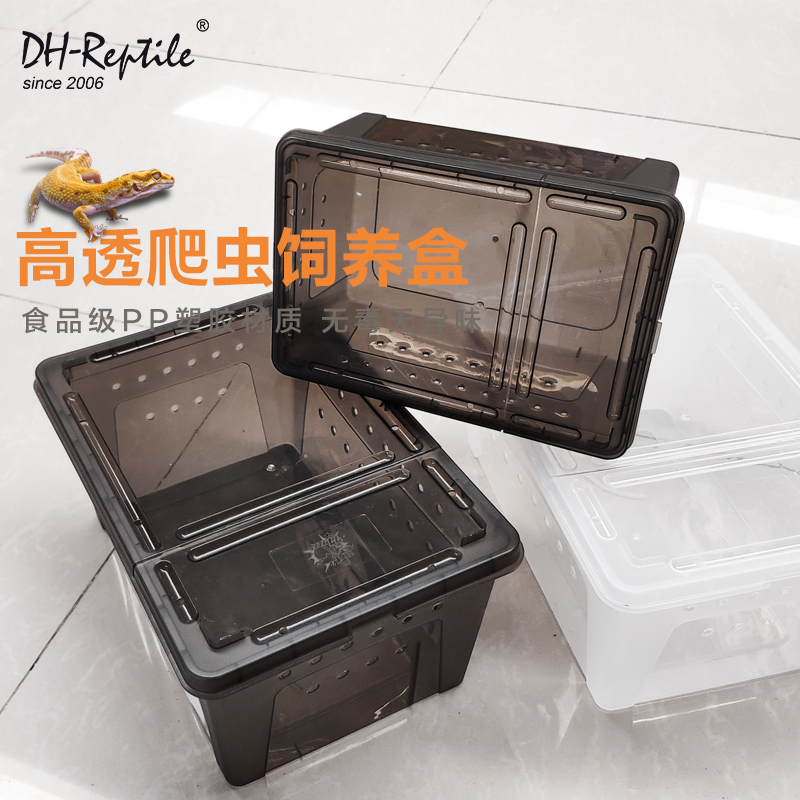 爬虫饲养宠箱蜘蛛角蛙守宫
