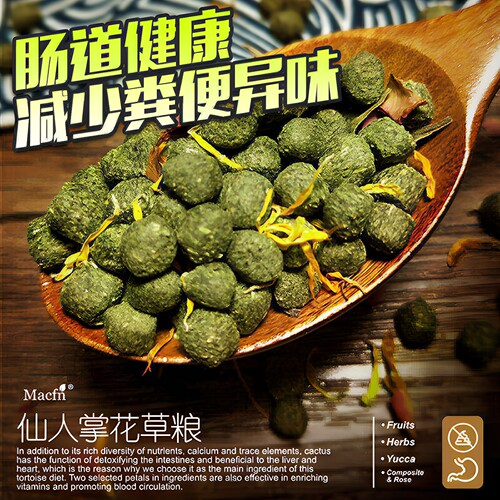 大韩全营养仙人掌花草粮龟粮