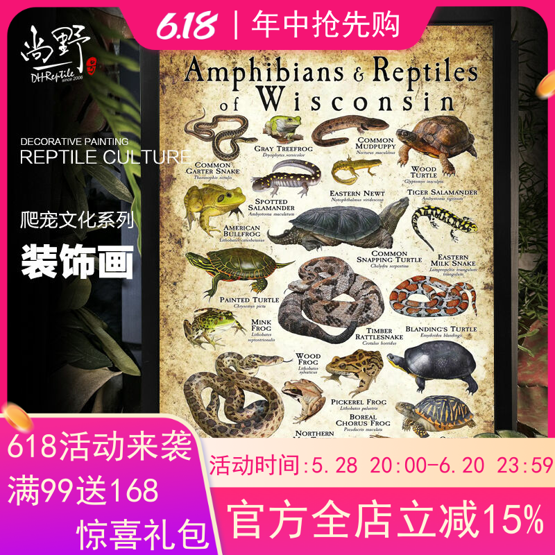 实木装饰相框画爬宠周边文化壁画现代蜥蜴守宫鬃狮海报背景墙挂画