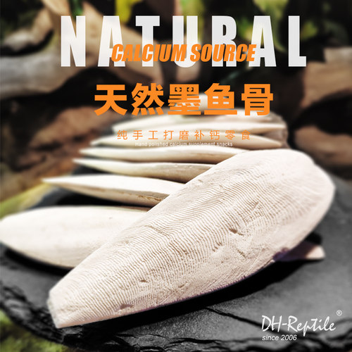 天然补钙 精磨墨鱼骨 陆龟水龟爬虫钙源 H-STUDIO