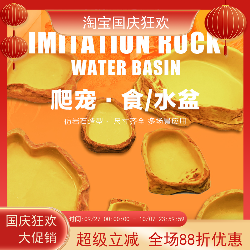 水盆陆龟蜥蜴守宫爬虫DHREPTILE