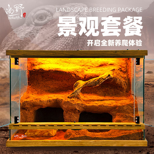 DHREPTILE实木边框景观缸带排灯