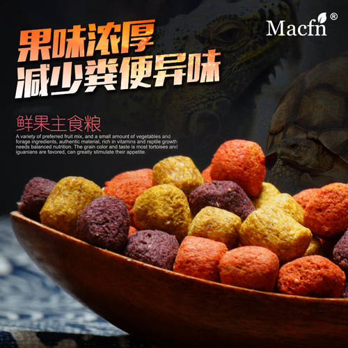 陆龟粮饲料Macfn蜥蜴水果主粮