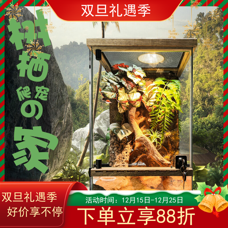 宠物树蛙睫角守宫R属原生态景观雨林缸树栖爬宠饲养缸玻璃缸树晰