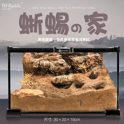 小型爬虫蜥蜴造景玻璃饲养缸生态环境爬宠缸雨林缸水陆缸箱
