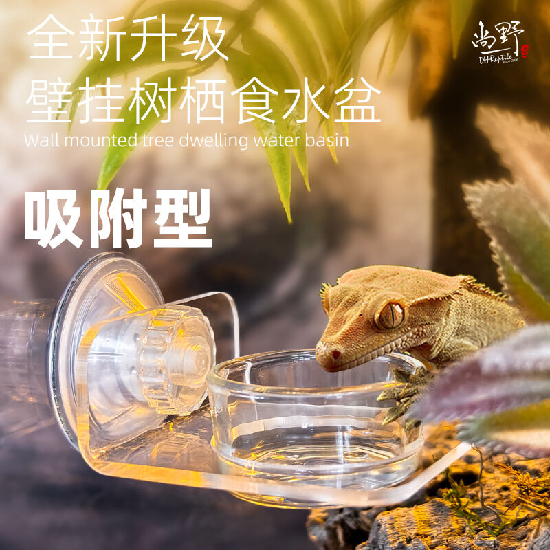 DH睫角守宫R属悬挂式可移动食盆