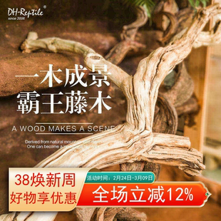 霸王藤木热带雨林爬宠造景素材藤条藤蔓爬虫箱宠物蜥蜴蛇箱景观