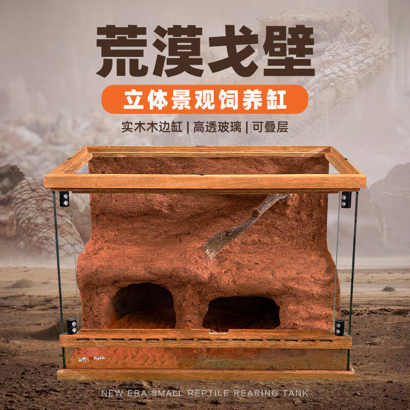DH荒漠系爬虫景观饲养缸图片