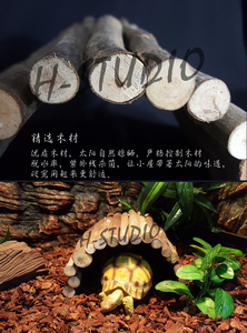 爬虫陆龟蜥蜴折叠变形躲避爬梯围栏爬宠箱造景躲避穴阶梯跳板