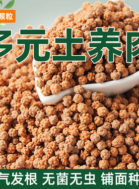 多肉专用透气无菌无虫营养土