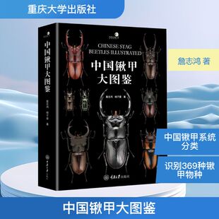 中国锹甲大图鉴 系统展示中国鞘翅目锹甲科昆虫分类学研究成果的大型彩色图鉴 中国锹甲科34属369种的分类研究成果 重庆大学出版社