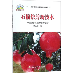 石榴修剪新技术 柏永耀 著 体育运动(新)专业科技 新华书店正版图书籍 中国农业科学技术出版社