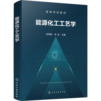 能源化工工艺学 邱泽刚,徐龙 编 大学教材大中专 新华书店正版图书籍 化学工业出版社