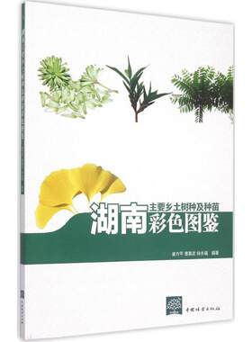 湖南主要乡土树种及种苗彩色图鉴 童方平,曹基武,徐永福 主编 林业专业科技 新华书店正版图书籍 中国林业出版社