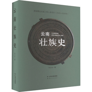 云南壮族史 何正廷 著 地方史志/民族史志社科 新华书店正版图书籍 云南人民出版社