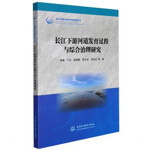 丁兵 柴朝晖 无 长江治理与保护科技创新丛书 译 著 渠庚 栾华龙 长江下游河道发育过程与综合治理研究 雷文韬