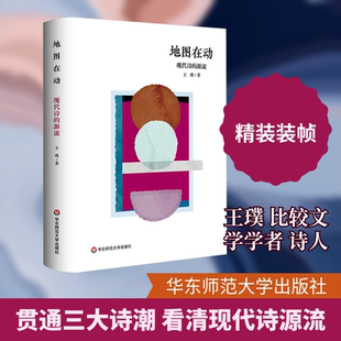 地图在动 现代诗的源流 王璞 著 文学理论 贯通欧洲浪漫主义 西方现代派和中国新诗 追寻现代诗的源与流 华东师范大学出版社