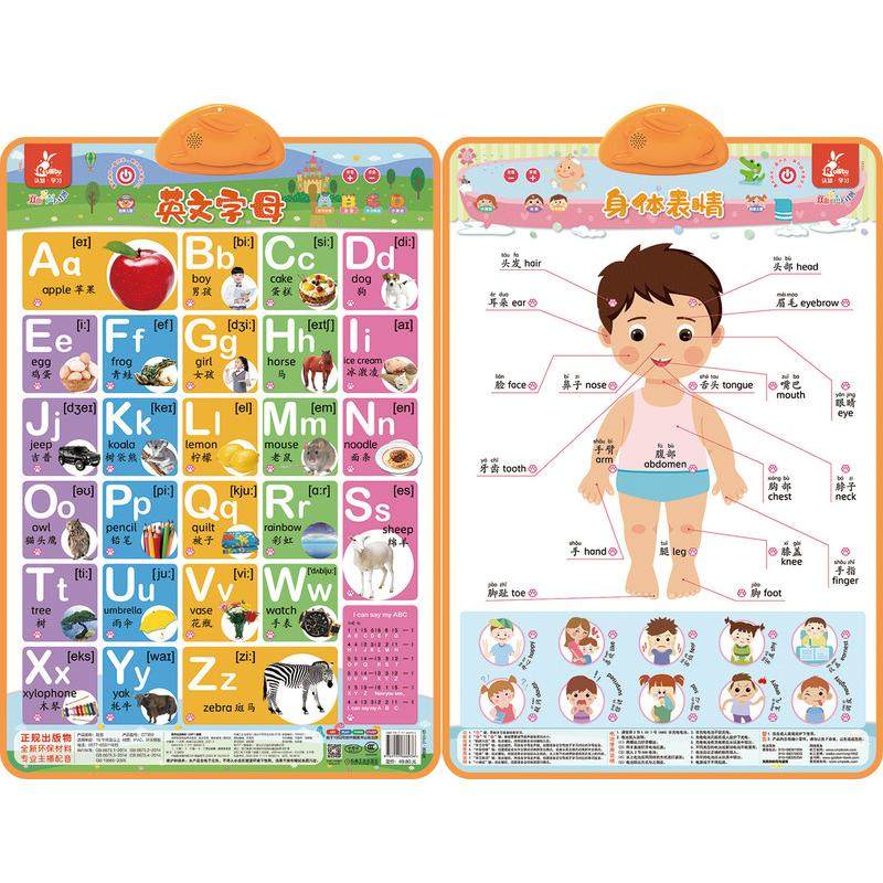 瑞莉兔双面发声大挂图 英文字母 身体表情 海润阳光 编著 著 其它儿童读物少儿 新华书店正版图书籍 机械工业出版社,书籍/杂志/报纸,其它儿童读物,淘宝优惠券,粉丝福利购,淘宝优惠卷