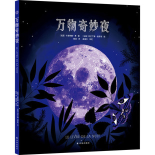 陈剑 绘 法 著 图书籍 社 万物奇妙夜 新华书店正版 译 卡洛琳娜·费 图画书 绘本 阿芒丁娜·德罗奈 译林出版 少儿动漫书生活