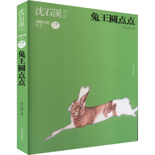 儿童文学少儿 著 新华书店正版 图书籍 社 兔王圆点点 明天出版 沈石溪