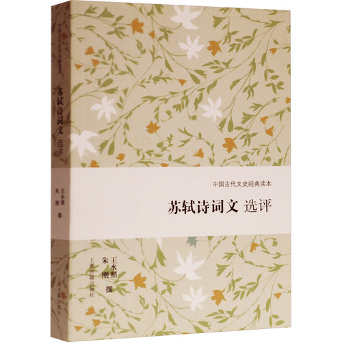 新华书店正版 古典文学理论
