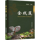 农业基础科学专业科技 编 新华书店正版 图书籍 社 金线莲 中国农业出版 邵清松