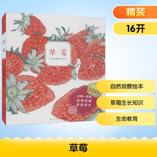 草莓 田秀娟 译 (日)荒井真纪 绘 科普百科少儿 新华书店正版图书籍 新星出版社