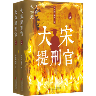 大宋提刑官(全两册) 钱林森,廉声 著文学 新华书店正版图书籍 万卷出版有限责任公司