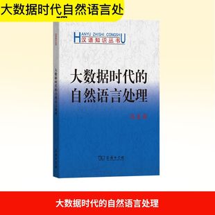 大数据时代的自然语言处理 冯志伟 著 著 语言文字文教 新华书店正版图书籍 商务印书馆