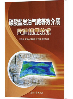 碳酸盐岩油气藏等效介质数值模拟技术 王自明,袁迎中,蒲海洋 等 著 石油 天然气工业专业科技 新华书店正版图书籍 石油工业出版社