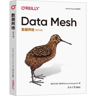 数据网格(影印版) (美)扎马克·德加尼 著 大学教材专业科技 新华书店正版图书籍 东南大学出版社