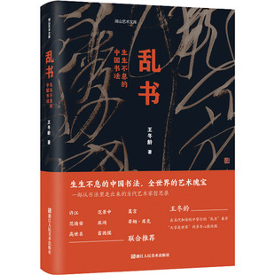 乱书 生生不息的中国书法 王冬龄 著 书法/篆刻/字帖书籍艺术 新华书店正版图书籍 浙江人民美术出版社