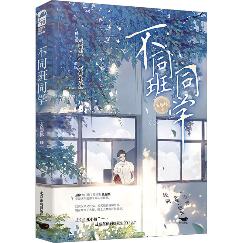 不同班同学 安德林 著 青春/都市/言情/轻小说文学 新华书店正版图书籍 北京燕山出版社