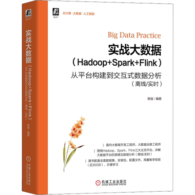 实战大数据(Hadoop+Spark+Flink) 从平台构建到交互式数据分析(离线/实时) 杨俊 编 数据库专业科技 新华书店正版图书籍