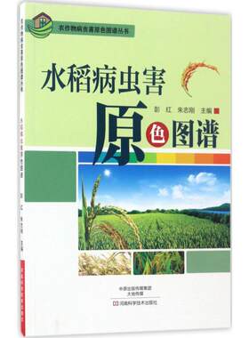 水稻病虫害原色图谱 彭红,朱志刚 主编 自由组合套装大中专 新华书店正版图书籍 河南科学技术出版社